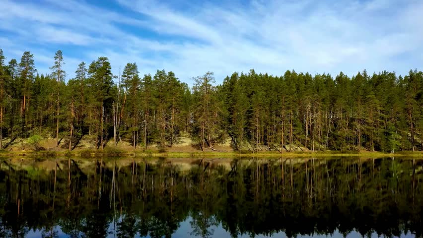 Serene Coniferous Forest Lake Reflection Landscape