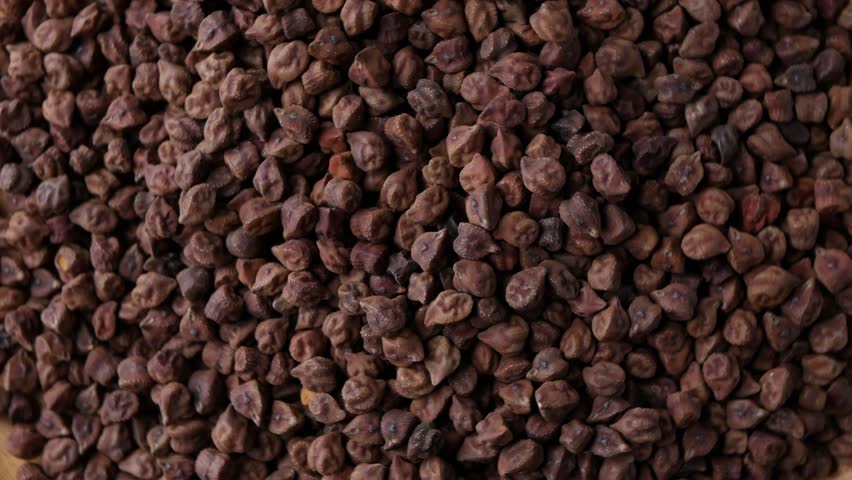 Raw Dark Brown Chickpeas (Kala Chana) on a rustic wooden table. Dry Balck chickpea (ceci neri) background close up.