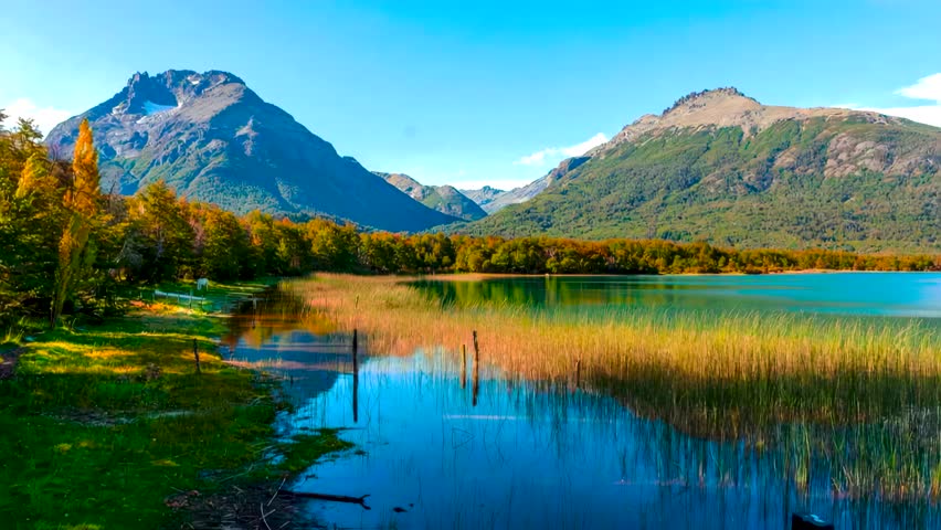 Shutterstock Video