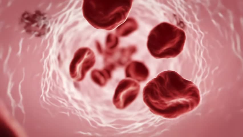 Red blood cells moving inside a capillary. 3D Illustration