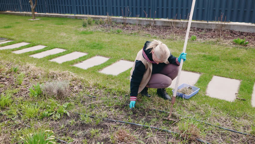 Middle-aged woman kneeling in the backyard while carefully pulling stubborn weeds from a neglected garden bed. High quality 4k footage