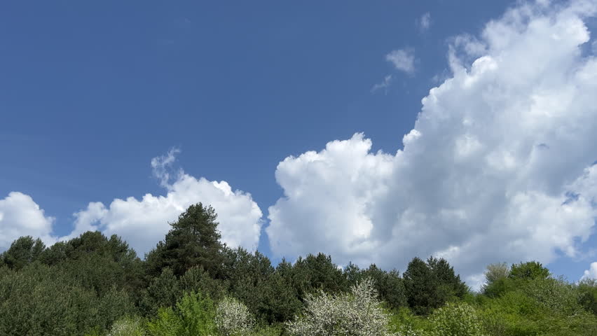 Clouds Forming Above Trees on a Sunny Day