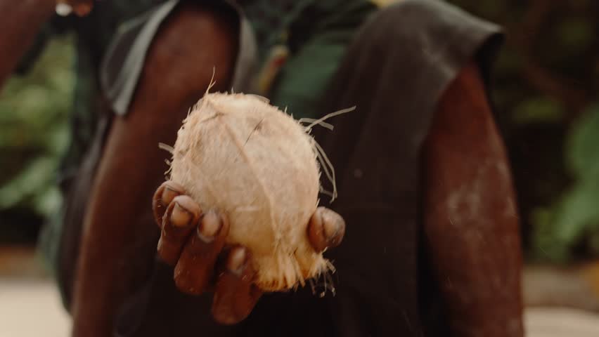 Cutting into a coconut with a knife, tropical food Zanzibar
