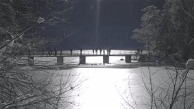 Scenic winter view of frozen Eibsee lake near Zugspitze in Bavaria, Germany. Tourists gather on a snowy bridge surrounded by mountains, forest, and snow-covered trails. Popular photo spot. - Powered by Shutterstock - Get 15% off with code: PIKWIZARD15