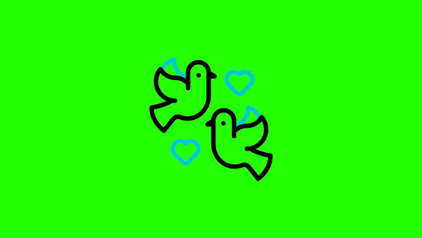 love birds icon animation on green screen background, chroma key,