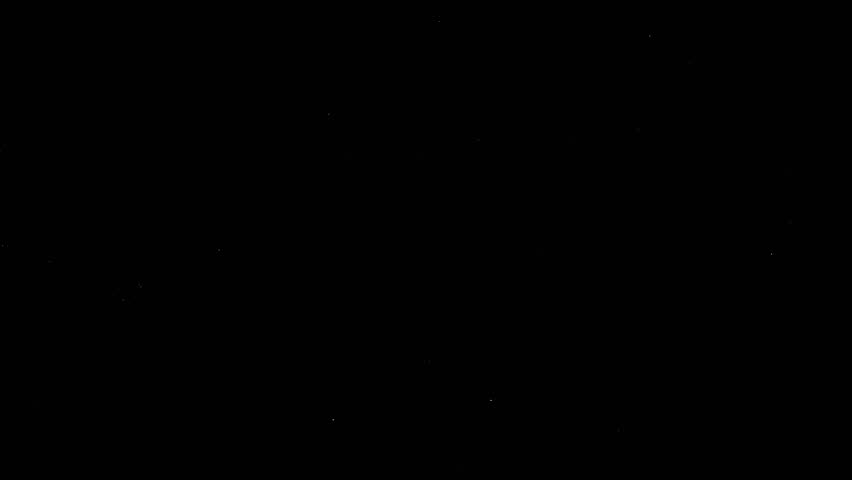 Shutterstock Video