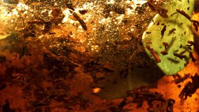 Fragrant black tea is brewed. Filmed on a high-speed camera at 1000 fps. High quality FullHD footage - Powered by Shutterstock - Get 15% off with code: PIKWIZARD15