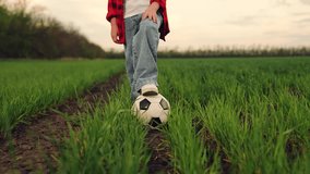 child kid baby girl run across green lawn sunset, kicking soccer ball, playing football field, childhood dream happy kid, soccer ball closeup, friendly soccer match, recreational soccer fun, outdoor - Powered by Shutterstock - Get 15% off with code: PIKWIZARD15