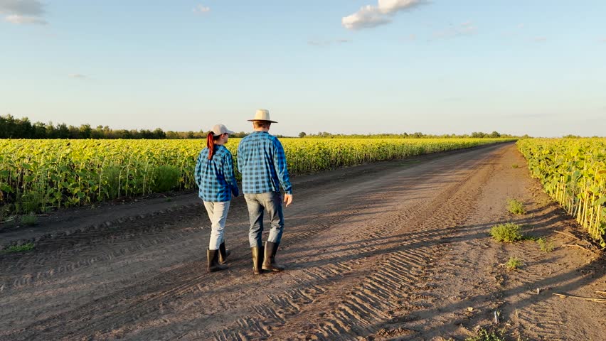 Agricultural couple on a farm, Farmers discussing the harvest, A beautiful farm under the sky, Life on a farm road, Working in nature s beauty, Summer evening in the fields, Farmer s daily routine