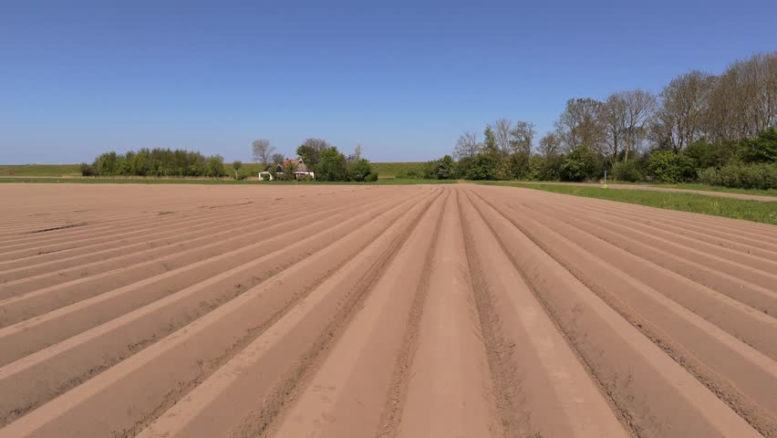 Aerial View of Planted Potato Field in Frisian Landscape – Netherlands