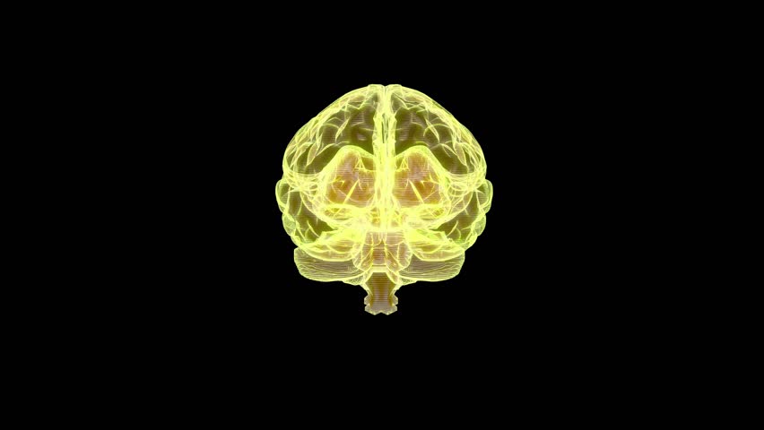 ฺBrain protected by protective shield gold color. Animation Seamless loop on black and green screen. Can be used in background elements related to technology, science. 3D Render.