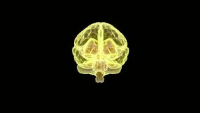 ฺBrain protected by protective shield gold color. Animation Seamless loop on black and green screen. Can be used in background elements related to technology, science. 3D Render. - Powered by Shutterstock - Get 15% off with code: PIKWIZARD15