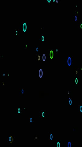 Shutterstock Video