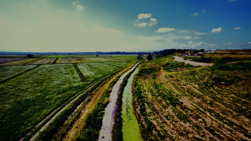 Stunning 4K aerial footage captured by drone showcasing a peaceful rural landscape featuring cultivated fields, scattered trees, a narrow water stream, and cattle grazing in open pastures.