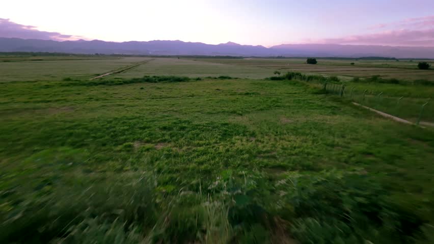 Rice plantation with a view of the mountains