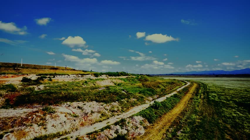 Stunning 4K aerial footage captured by drone showcasing a peaceful rural landscape featuring cultivated fields and scattered trees. Perfect for projects related to agriculture, nature, sustainability.