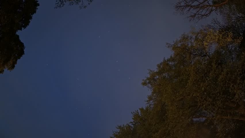 Night sky big dipper stars constellations rotating above woodland trees with clouds passing overhead