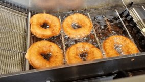Automated donut machine moving prepared golden fried sweet rings street food along rack to cool - Powered by Shutterstock - Get 15% off with code: PIKWIZARD15