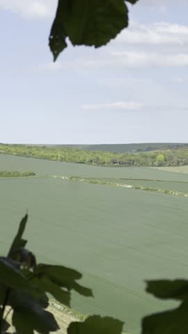 Vertical video of a green valley and gentle hill on a sunny day in the South England countryside, capturing peaceful and scenic rural beaut