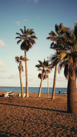 La cala de mijas beach with palm on the sunset in warm tones, vibes on Costa del sol, vertical