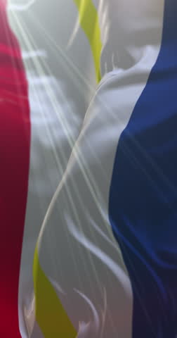 Flag of federal state of Mecklenburg Vorpommern in Germany. Loop. 4K Vertical