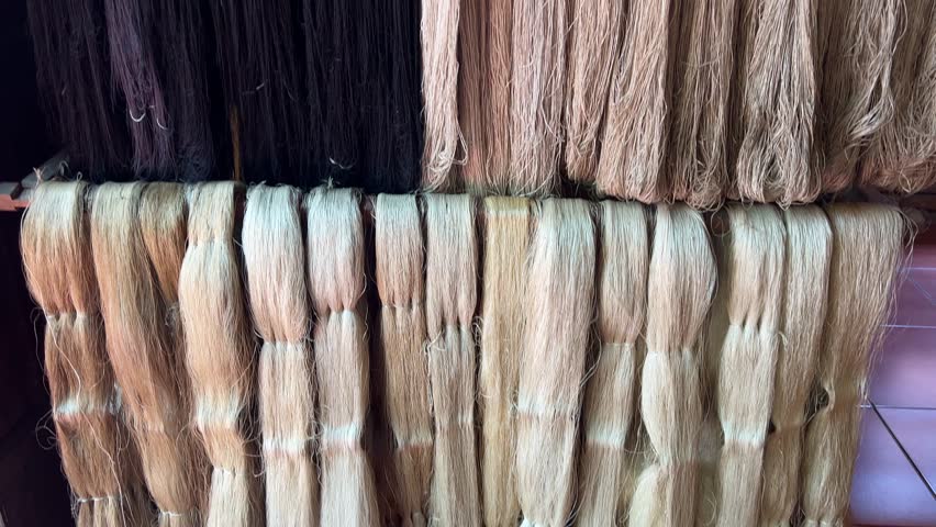 Hoi An silk production starting from the cocoon of caterpillar larvae on mulberry leaves ending with machines and finished products. machines wooden machines stretch silk threads no people fabrics