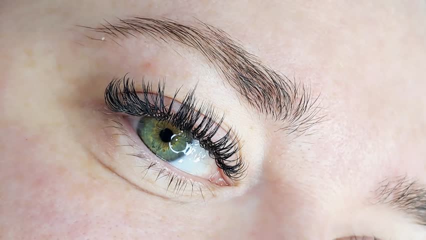 Close up of eye with eyelash extensions ,beauty salon treatment ,2d volume, 3d volume, classical lashes,Russian volume,megavolume, new set.