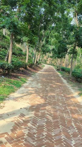 A beautiful natue and amazing 4k sceanary. River, highway, hills and rainy roads. Somewhere in Bangladesh.