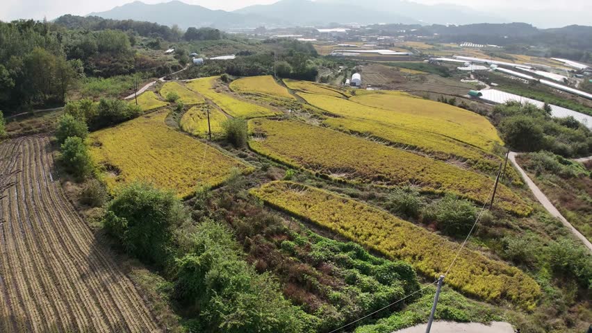 Tranquil countryside scene in Mundang-ri, a rural village in South Korea.
This peaceful video captures the daily life and landscape of Mundang-ri, a small farming village in South Korea. Featuring ope