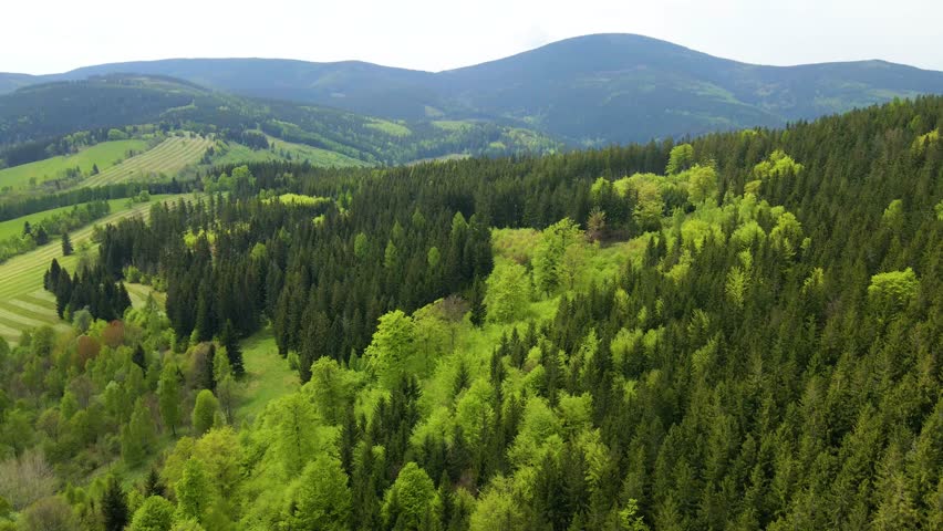Drone flying over Blauen mountain at Belchen, Black Forest, Germany