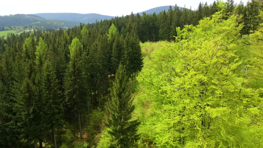 Drone flying over Blauen mountain at Belchen, Black Forest, Germany