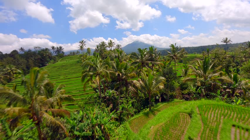 Cinematic FPV drone shot of lush green rice terraces, tropical palm trees, and scenic volcano landscape in Bali, Indonesia