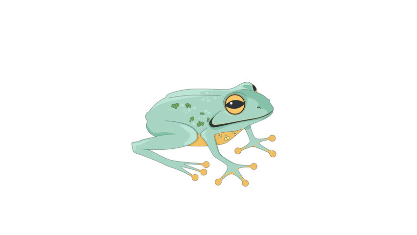 Green tree frog lo-fi 2D character animation. Cute amphibian. Tropical creature. Jungle wildlife. Rainforest animal. Treefrog toad animated animal cartoon 4K video isolated on white transparent