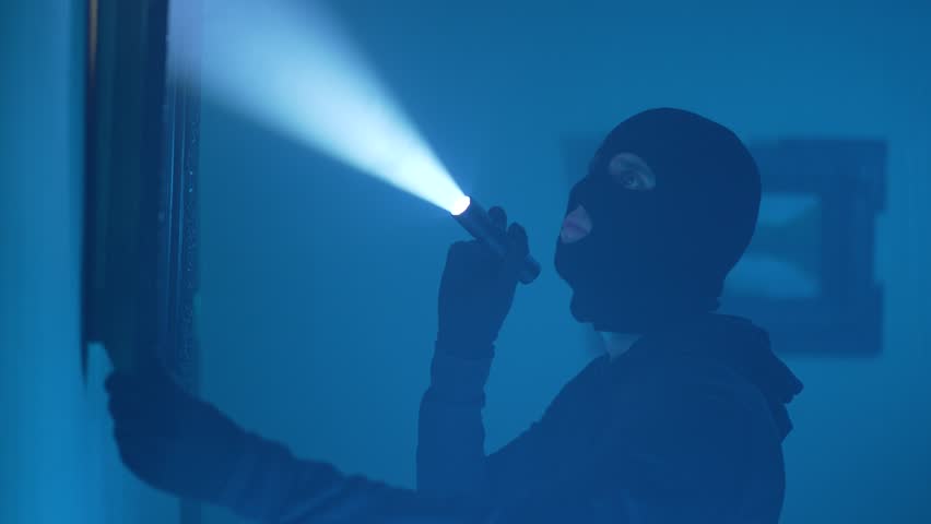 Thief Inspects Painting in Dark Gallery