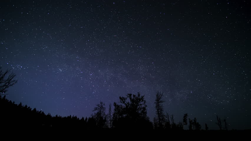 Starry night sky above a dark forest landscape, many artificial satellites flying across the starry sky.