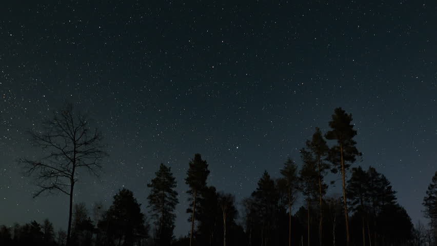 Time lapse of Star Trails over Forest at Night, Long exposure image of star trails spinning across the night sky above a forest silhouette.