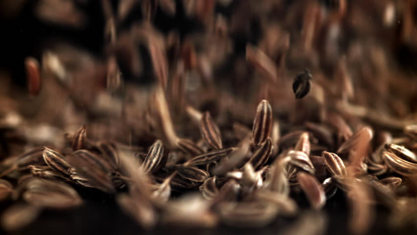 Cumin seeds fall on the table. Filmed on a high-speed camera at 1000 fps. High quality FullHD footage
