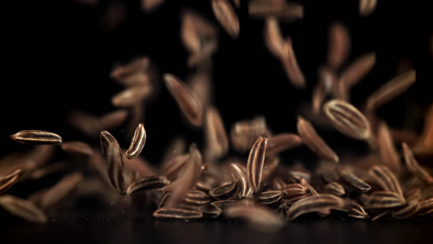 Cumin seeds fall on the table. Filmed on a high-speed camera at 1000 fps. High quality FullHD footage
