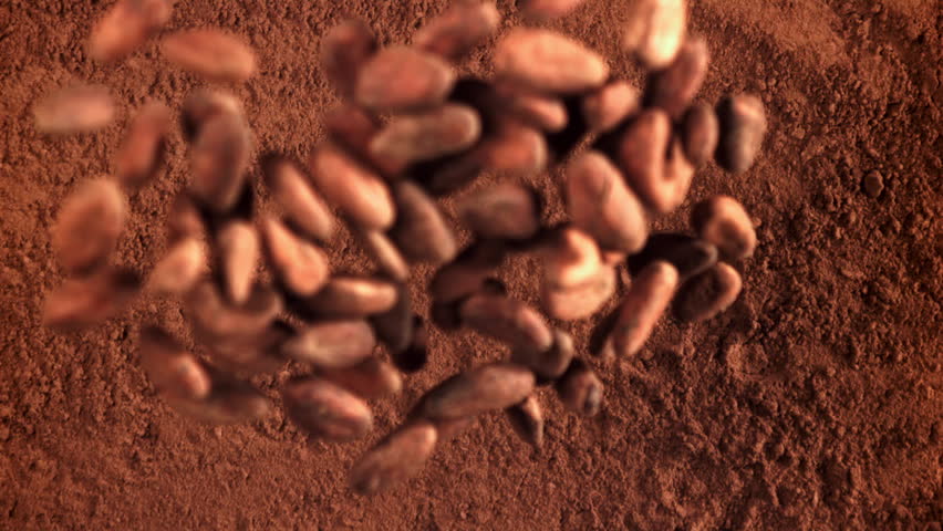 Cocoa beans fall on cocoa powder. Filmed on a high-speed camera at 1000 fps. High quality FullHD footage