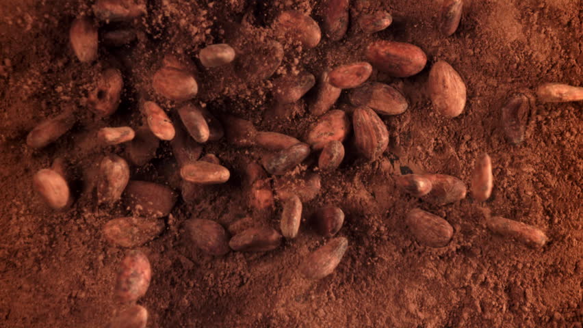 Cocoa beans fall on cocoa powder. Filmed on a high-speed camera at 1000 fps. High quality FullHD footage