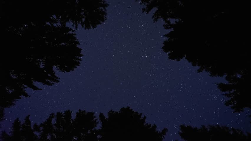 Night timelapse with silhouetted trees and faint clouds under a clear starry sky