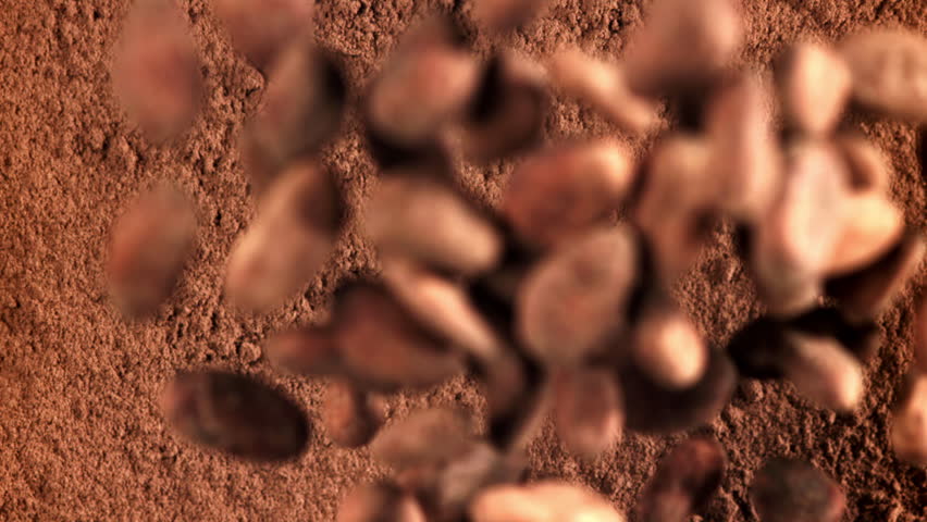 Cocoa beans fall on cocoa powder. Filmed on a high-speed camera at 1000 fps. High quality FullHD footage