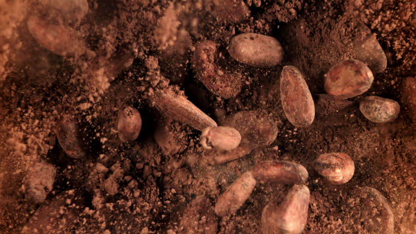 Cocoa beans fall on cocoa powder. Filmed on a high-speed camera at 1000 fps. High quality FullHD footage