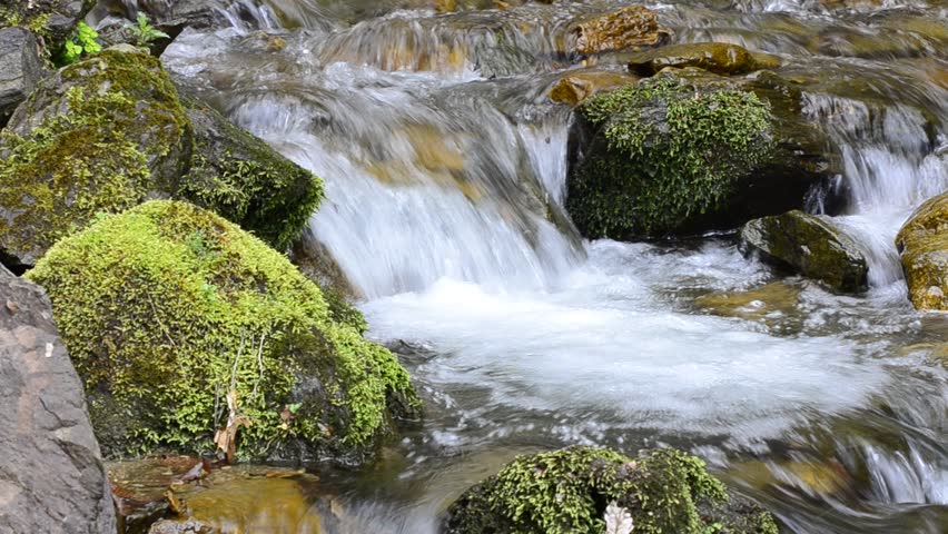 Mountain stream, small waterfall water flow