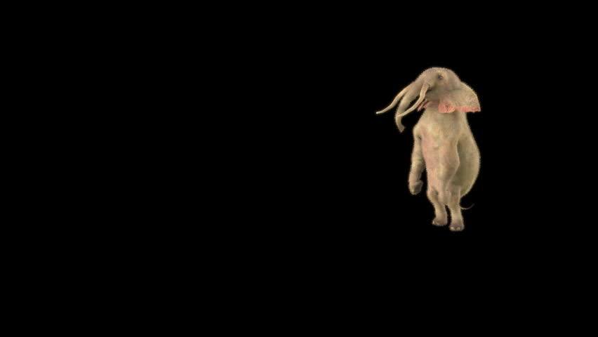 lephant Dancing 3d rendering, Included in the end of the clip with Luma matte.