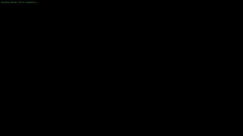 Shutterstock Video