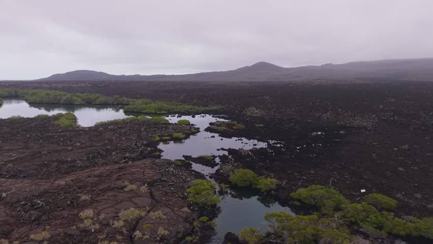 Aerial view capturing Galapagos volcanic terrain, rocky lava fields surrounding turquoise lagoon with lush greenery under overcast sky