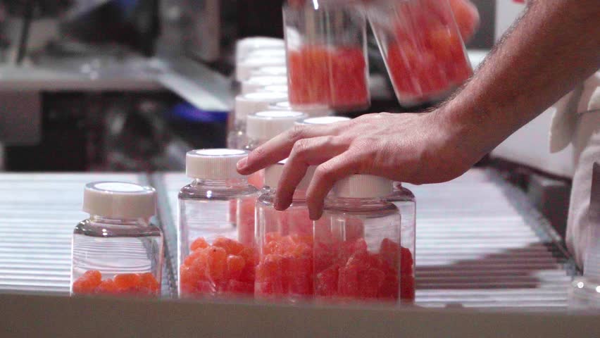 Pharmaceutical employee packaging the production of nutricional gummies on the healthcare food factory
