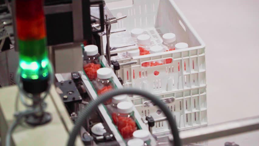 Conveyor belt with nutraceutical gummy bottles and industrial boxes on the healthcare food factory facility