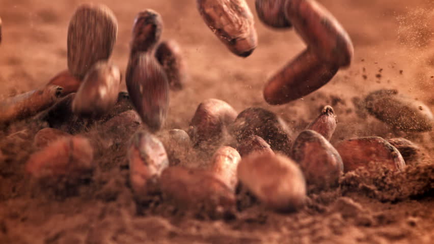 Cocoa beans fall on the table. Filmed on a high-speed camera at 1000 fps. High quality FullHD footage